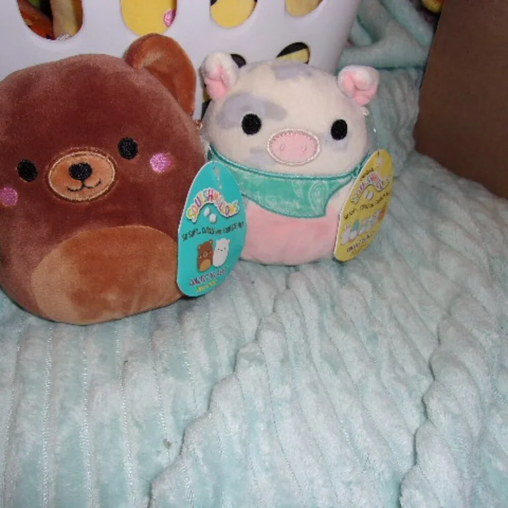 Bundle of 4 small Squishmallows New with tags